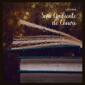 Estudar: Som Ambiente de Chuva - Musicas para Estudar Collective