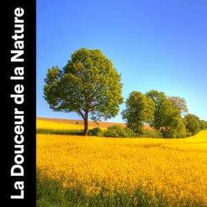 La Douceur de La Nature - Musique Coeur de la Nature