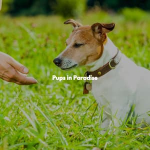 Pups in Paradise - Jazz para Cenar