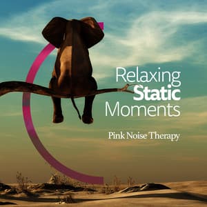 Relaxing Static Moments - Pink Noise Therapy