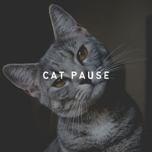 Cat Pause - Music for Cats Peace