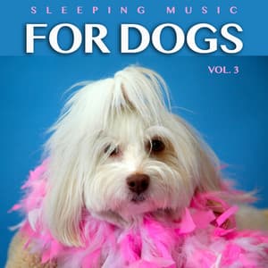 Sleeping Music For Dogs: Calm Dog Music For Dog's Ears and The Best Music For Pets, Vol. 3 - Dog Music