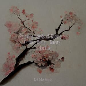 Relaxing Sounds of Nature | Calming Music | Nature Collection - CANCIONES DE CUNA
