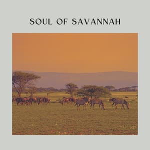 Soul of Savannah - Life Sounds Nature