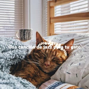 Una canción de jazz para tu gato - Calm Guitar Music Lounge