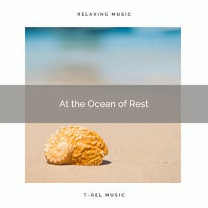! ! ! ! ! ! ! ! ! ! At the Ocean of Rest - Ocean Waves For Sleep