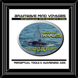 BMV Series 13 - Whales - Nature Brainwave Meditation - Brainwave Mind Voyages
