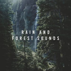 Rain And Forest Sounds - Nature Sounds
