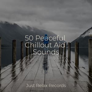 50 Peaceful Chillout Aid Sounds - Nature Sound Collection