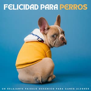 Felicidad Para Perros: Un Relajante Paisaje Oceánico Para Canes Alegres - Viento y Océanos