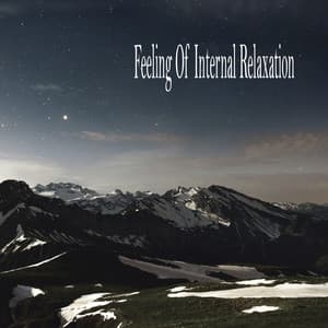 Feeling Of Internal Relaxation - Naturaleza Sonidos