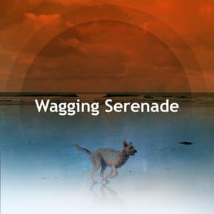 Wagging Serenade - Calming Dog Music