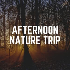 Afternoon Nature Trip - Nature Soundscapes