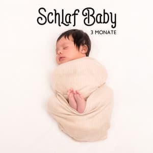 Schlaf Baby 3 Monate - Baby Schlafmusik Akademie