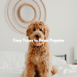 Cozy Tunes to Relax Puppies - Study Music Deluxe