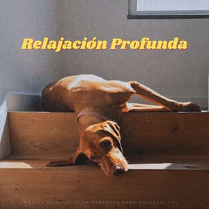 Música De Relajación Profunda Para Mascotas Vol. 1 - PAZ