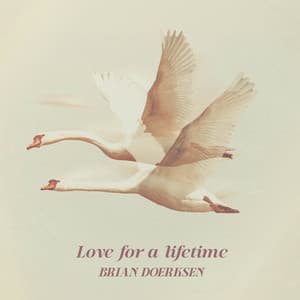 Love For A Lifetime - Brian Doerksen