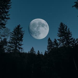 Música Clásica Para Dormir: Sonidos Nocturnos Atemporales - Música para soñar