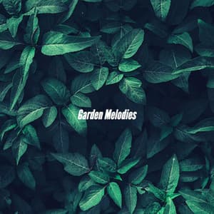 Garden Melodies - French Cafe Music