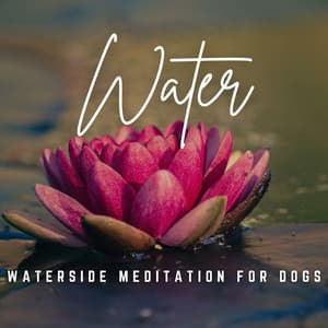 Music for Dog Zen: Gentle Water Reflections - Happy Playlisted Music