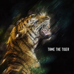 Tame the Tiger - Cat Music