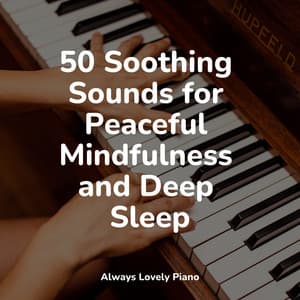 50 Comforting Music That Get You To Focus - Piano Music for Exam Study