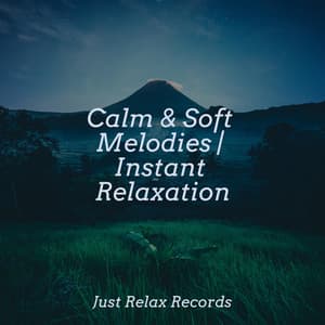 Calm & Soft Melodies | Instant Relaxation - Relajacion Del Mar