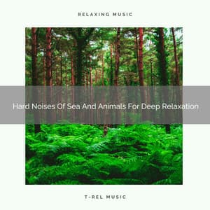 Hard Noises Of Sea And Animals For Deep Relaxation - Sleep Dimension