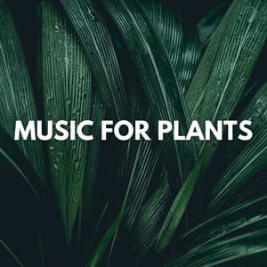 Music for Plants - Plant Love