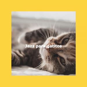 Jazz para gatitos - Música Chill para Cafés