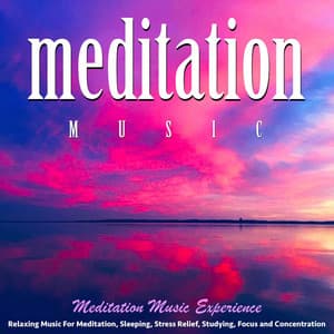 Meditation Music: Relaxing Music for Meditation, Sleeping, Stress Relief, Studying, Focus and Concentration - Meditation Music Experience