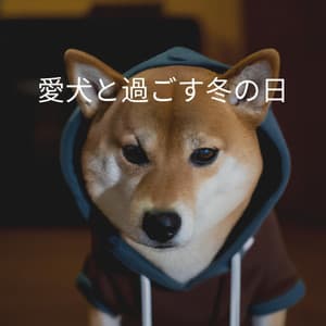 愛犬と過ごす冬の日 - Ochtendmuziek