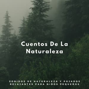 Cuentos De La Naturaleza: Sonidos De Naturaleza Y Pájaros Relajantes Para Niños Pequeños - Pajaros Exoticos