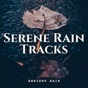 Ambient Rain: Serene Rain Tracks - The Binaural Mind