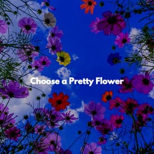 Choose a Pretty Flower - Soft Cafe Lounge