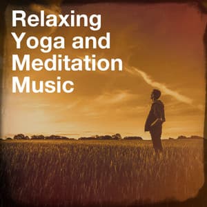 Relaxing Yoga and Meditation Music - Musique de Relaxation