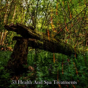 53 Health and Spa Treatments - Sleepy Sounds