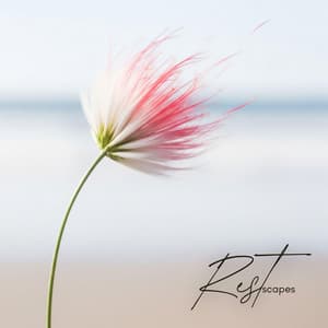 Restscapes - For The Eternal Rest