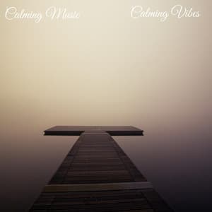 Calming Vibes - Calming Music