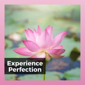 Experience Perfection - Ambient