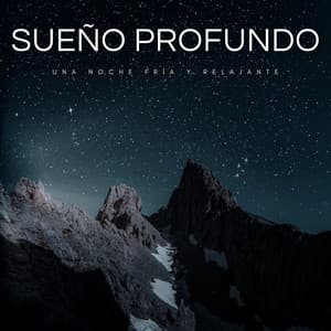 Sueño Profundo: Una Noche Fría y Relajante - Zen Master