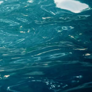 1 Mile Below: Beyond The Pier - Seascapers