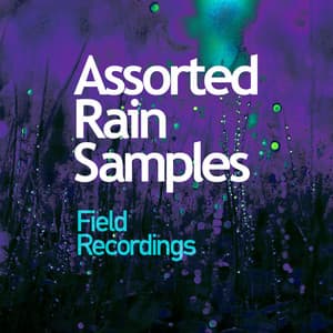 Assorted Rain Samples - Field Recordings