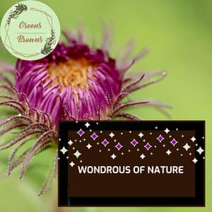 Wondrous of Nature - Calm Music