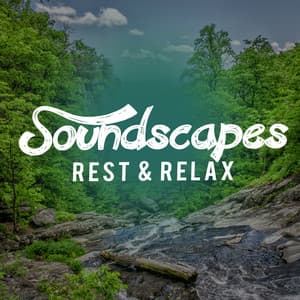 Soundscapes: Rest & Relax - Soundscapes