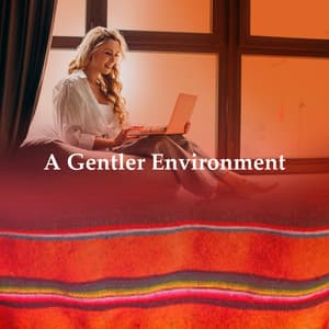 A Gentler Environment - Soothing Cat Music