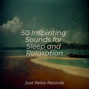 50 Inspiriting Sounds for Sleep and Relaxation - Nursery Rhymes Club