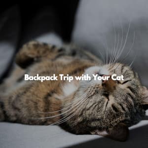 Backpack Trip with Your Cat - Jazz Trio