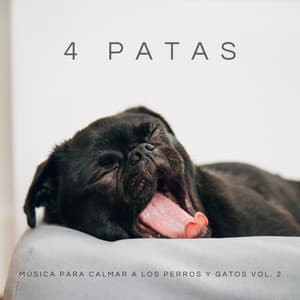 4 Patas: Música Para Calmar A Los Perros Y Gatos Vol. 2 - Latidos Binaurales Ondas Alfa