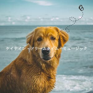 ケイナイン・ドリームタイム・ミュージック - Relaxing Jazz Cafe